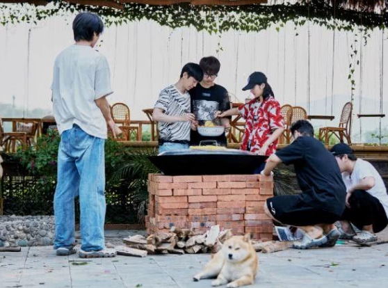 向往的生活四张子枫摘泰椒,向往的生活第四季张子枫摘菠萝