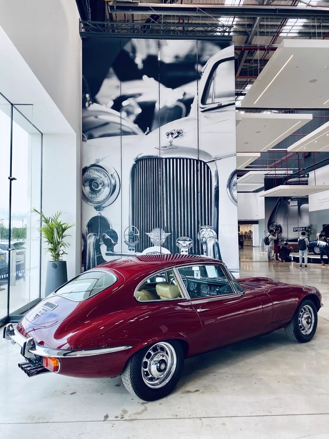 捷豹可爱的车型,捷豹车可爱