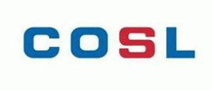 石化油服最新业绩,国内知名油服公司2019年业绩