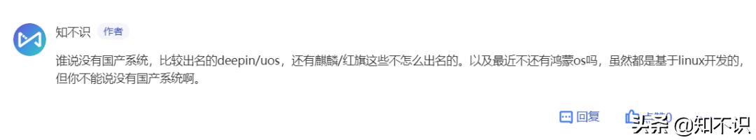 国产系统现在我们能用吗,国产系统哪一个比较好用