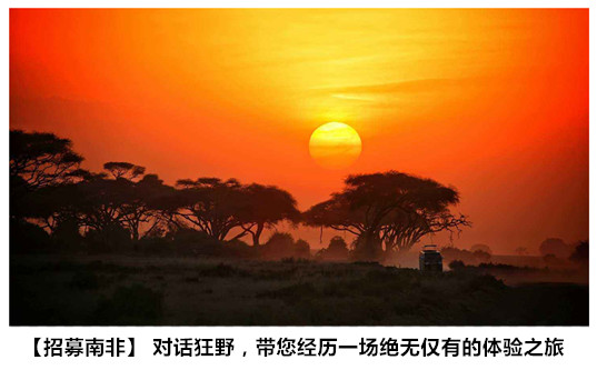 乘最奢华的火车，品不一样的非洲