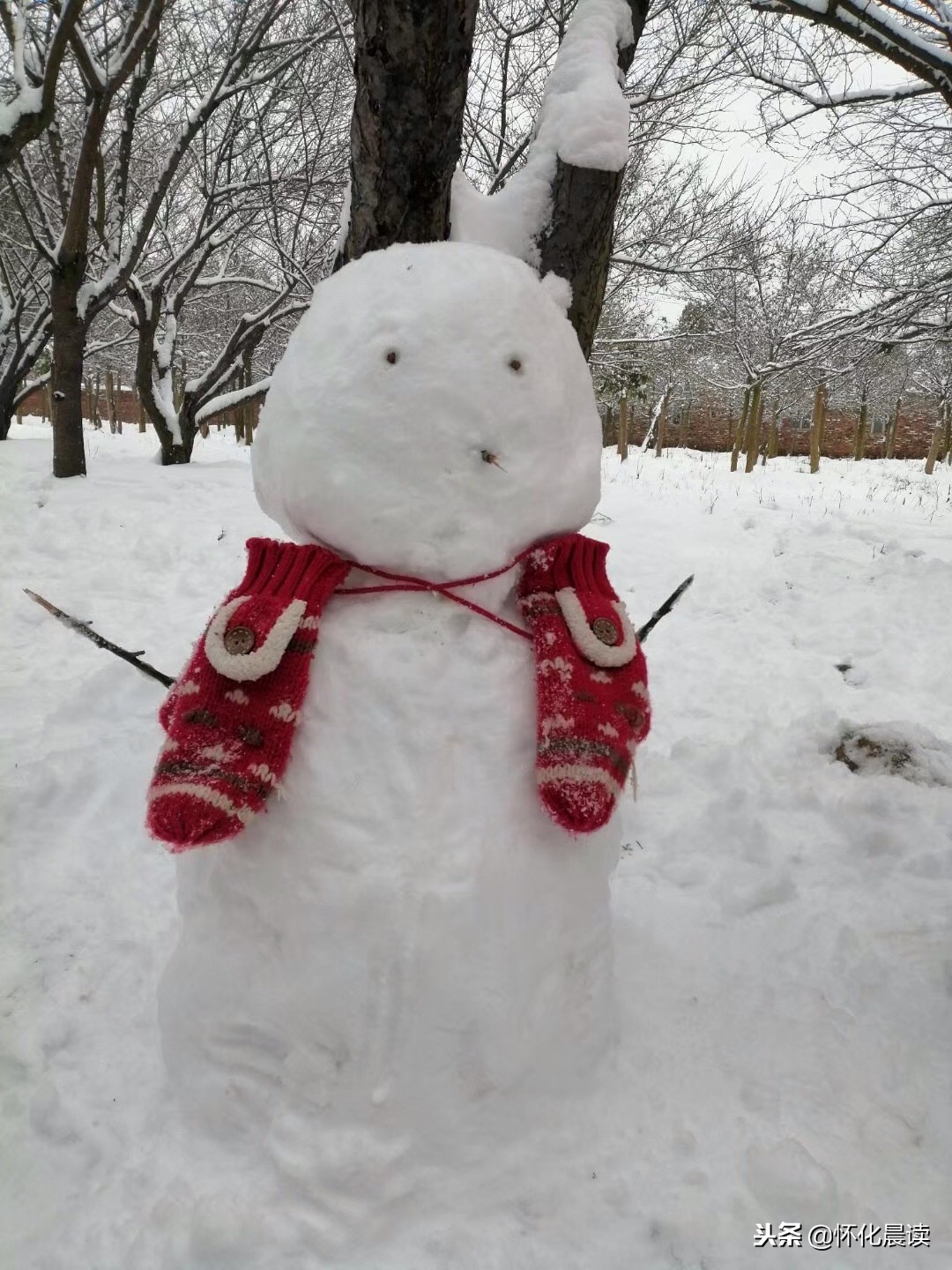 一场雪惊艳了一座城视频,一场雪激发了多少创造力