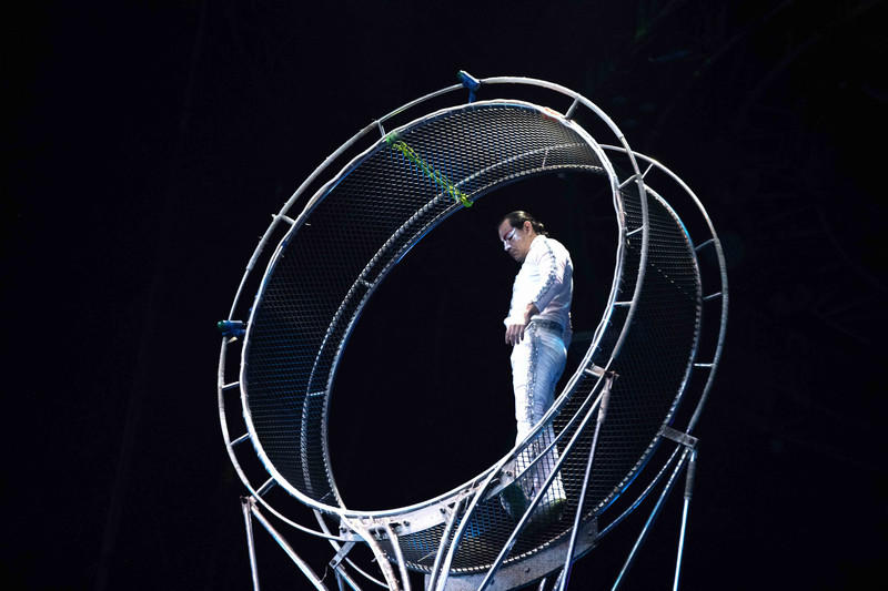 玩转广州长隆野生动物世界之行,广州长隆动物世界游玩攻略图