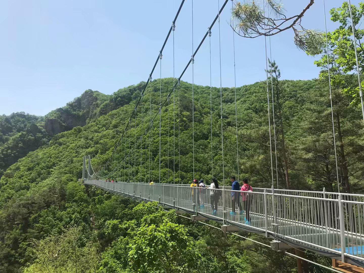 延吉端午节三日游,延吉端午节旅游攻略