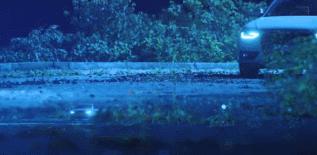 回家的诱惑升级版原版,回家的诱惑改编版