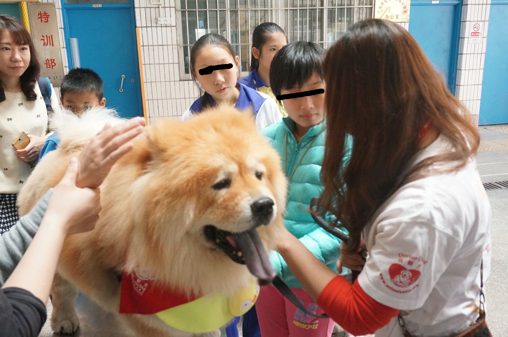 仰卧撑宠物达人专访：两代松狮“狗医生”的坚强铲屎官Erika