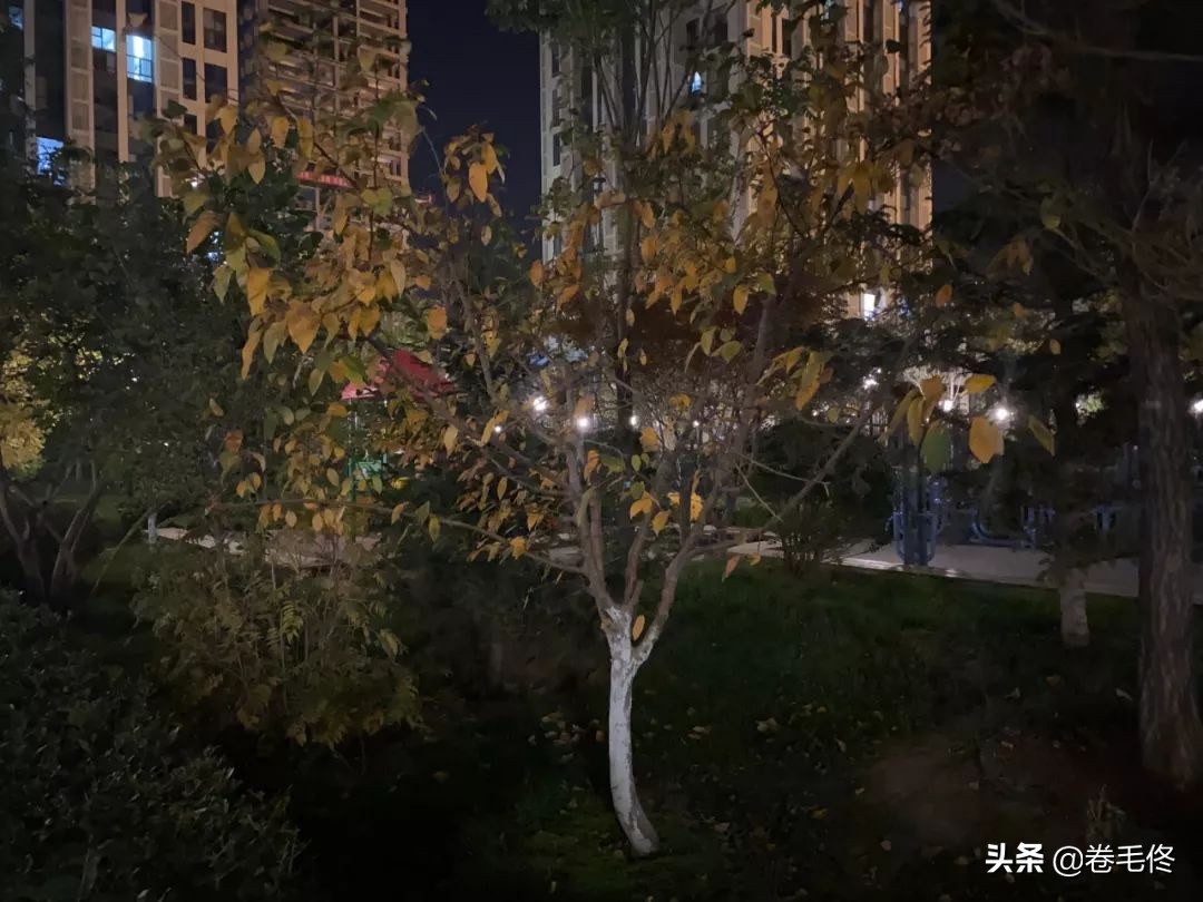 iphone11pro和iphone11拍照的区别,iphone11pro和iphone12拍照