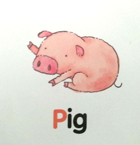 英语自然拼读怎样学效果好呢,不要被培训机构误导