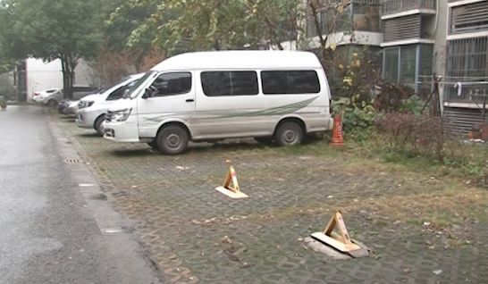 小区业主自己搞绿化,小区业主自己动手