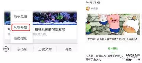 海缸最好的过滤系统,海缸推荐用什么过滤器