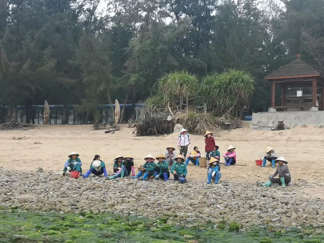 告别2019，迎来2020，在三娘湾与白海豚一起跨年