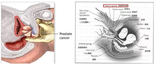 大跌眼镜！SCI诡异数据，又是论文工厂在作妖