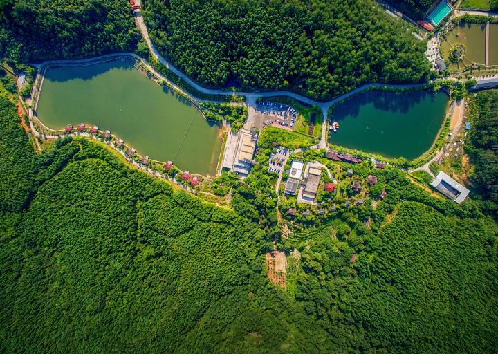 中国绿都最氧三明,中国最氧三明花海