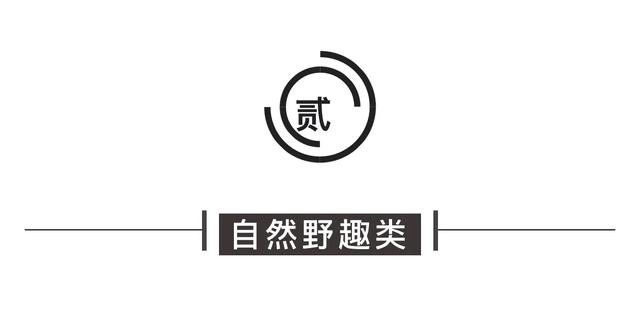 西安景点免费开放最新通知,西安秦岭自驾一日游免费景点