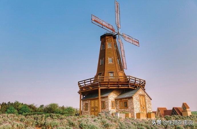 2019年南京美丽乡村游,南京周边美丽乡村游推荐