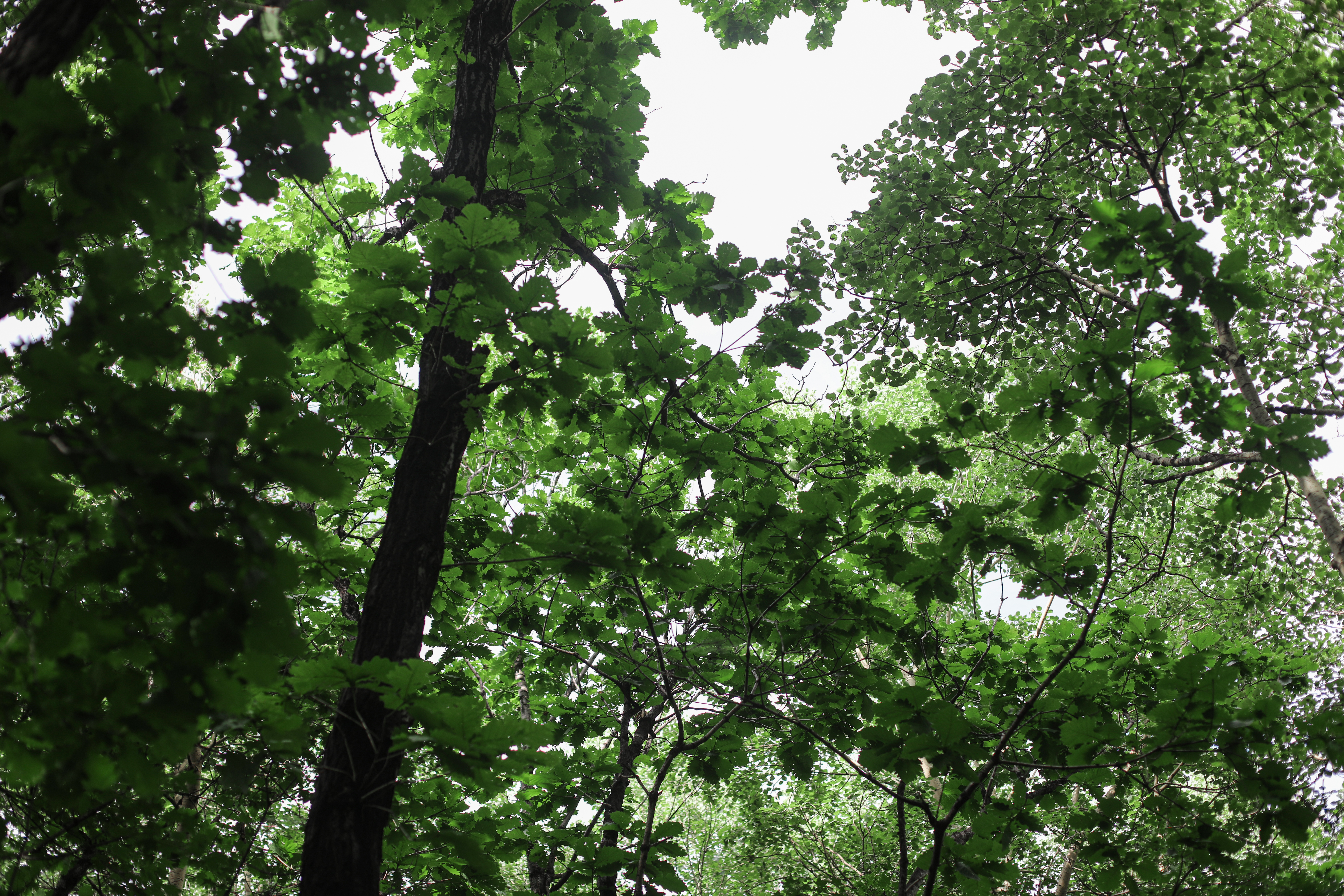 京郊十条登山步道推荐,房山蝴蝶谷登山步道