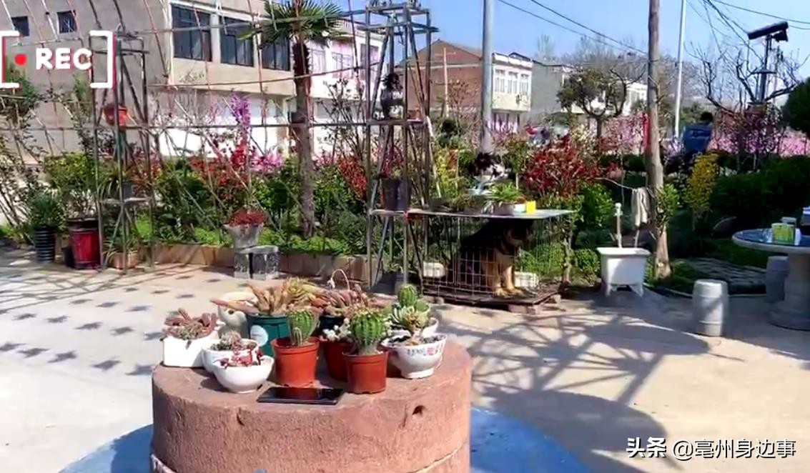 旧小区阳台自制秋千,乡里自制秋千