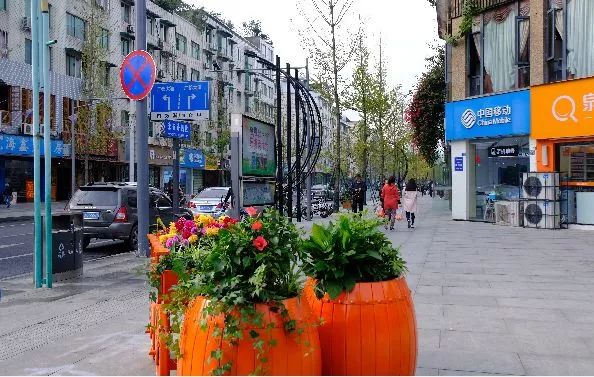 美了美了！涉及双流四个街区，34条街道！在你家附近吗？