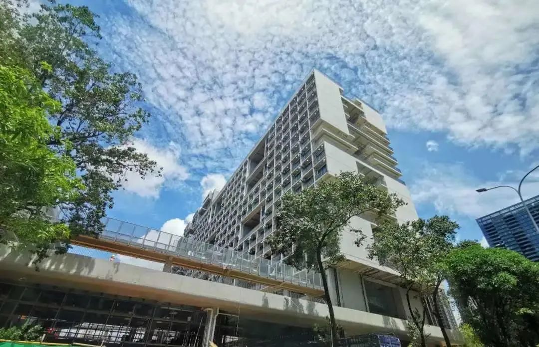 国际学校vs高中,国际高中和普通高中的区别