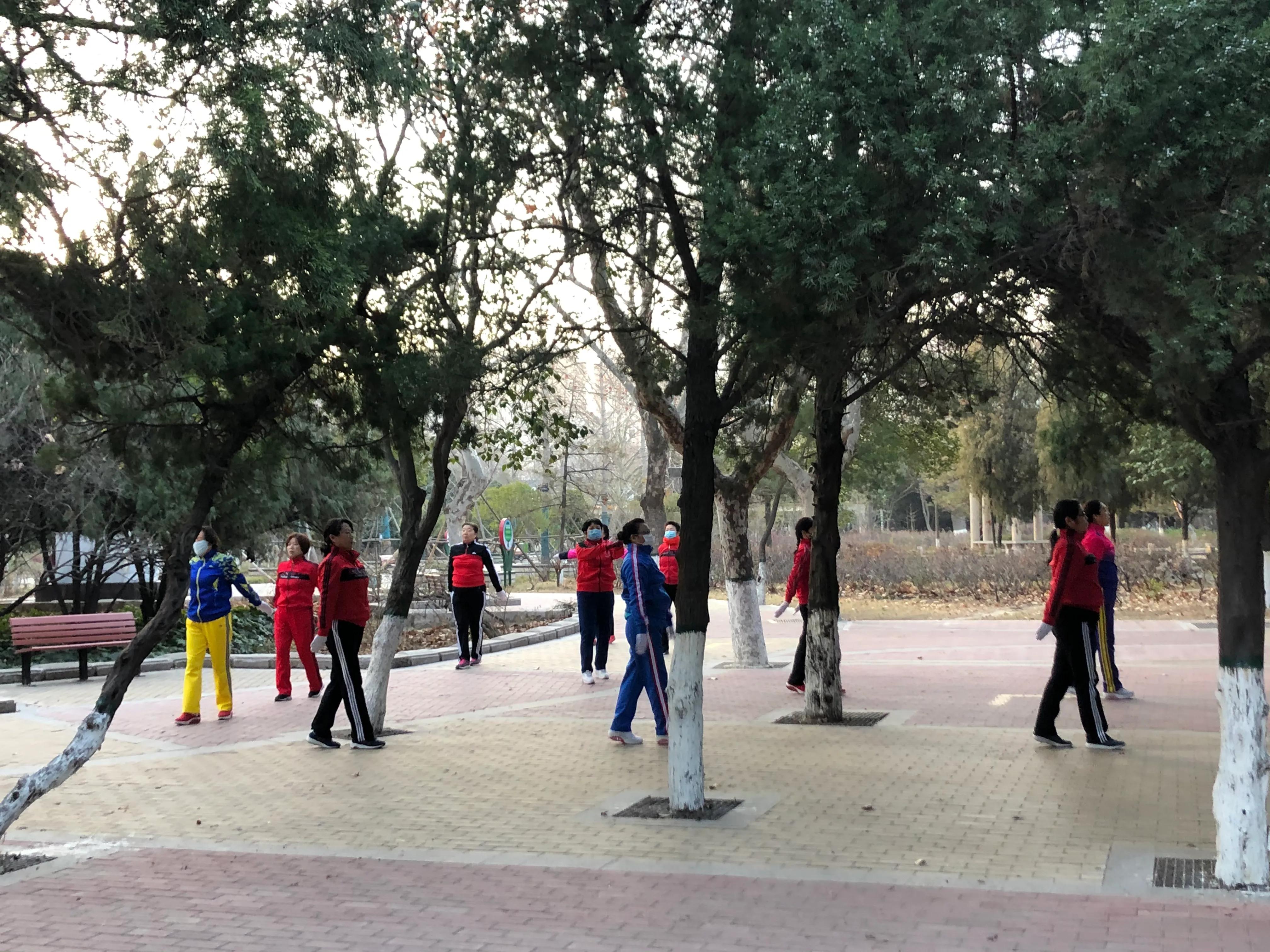 平顶山河滨公园旅游攻略,平顶山森林公园游记