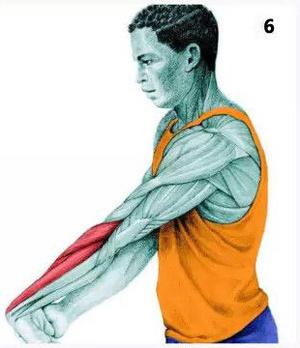 简易有效的拉筋动作,身体各部位拉筋的方法