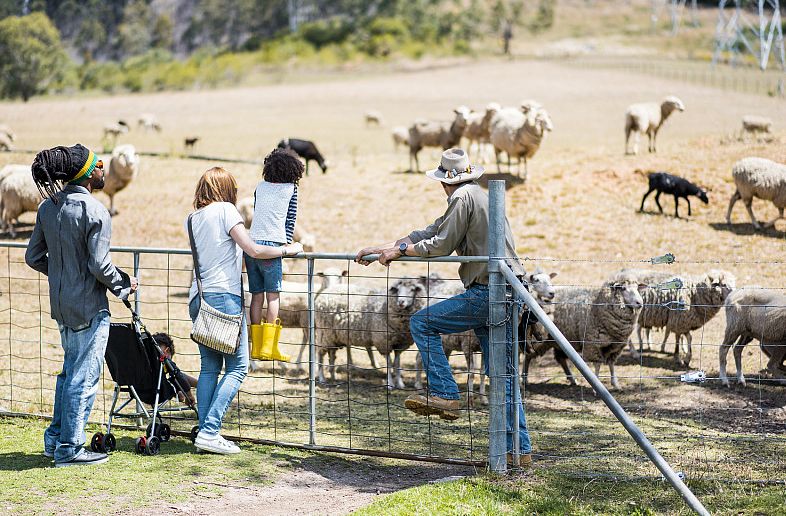 去奇妙的澳大利亚看一看....