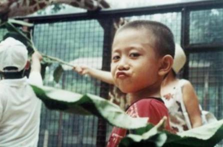 张一山杨紫斗嘴视频完整版,张一山杨紫友谊现状