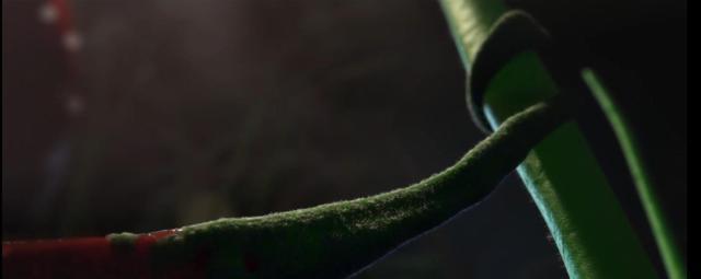 看完之后再也不想吃草莓了,看完你可能不想吃草莓了