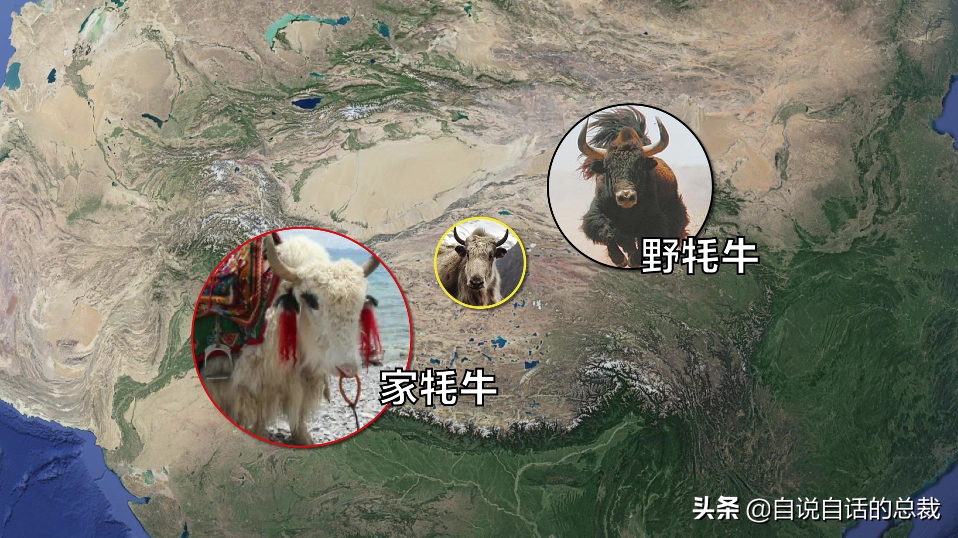 阿努纳奇创造人类7次文明,阿努纳奇人类起源