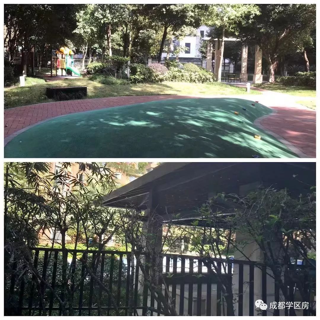 成师附小分校有哪些,成师附小哪个分校最好