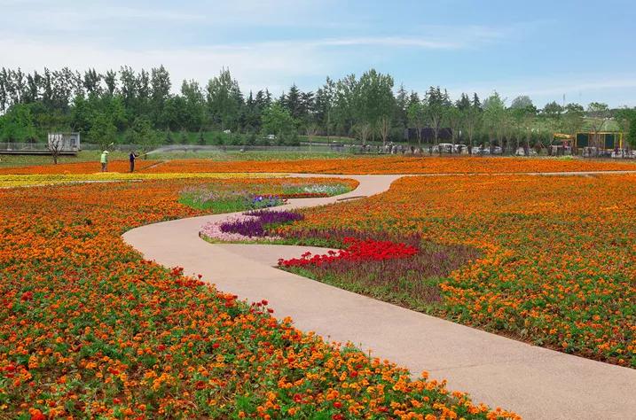 西安公园24小时开放,西安免费儿童玩的公园