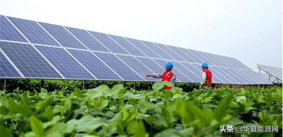 中利“不利”:从先行者到危机重重,王柏兴如何“弯道超车”?