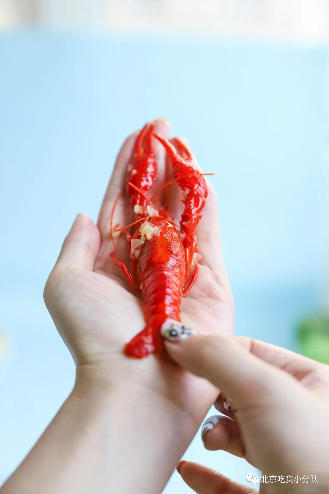 卖1百多亿的网红,卖一百多万商品的网红能赚多少钱