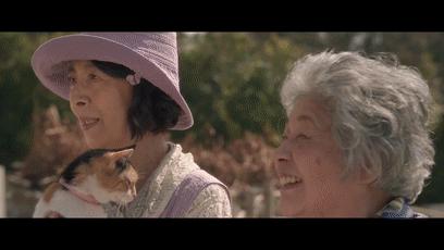 十部顶级治愈系猫片,十部顶级治愈猫的电影