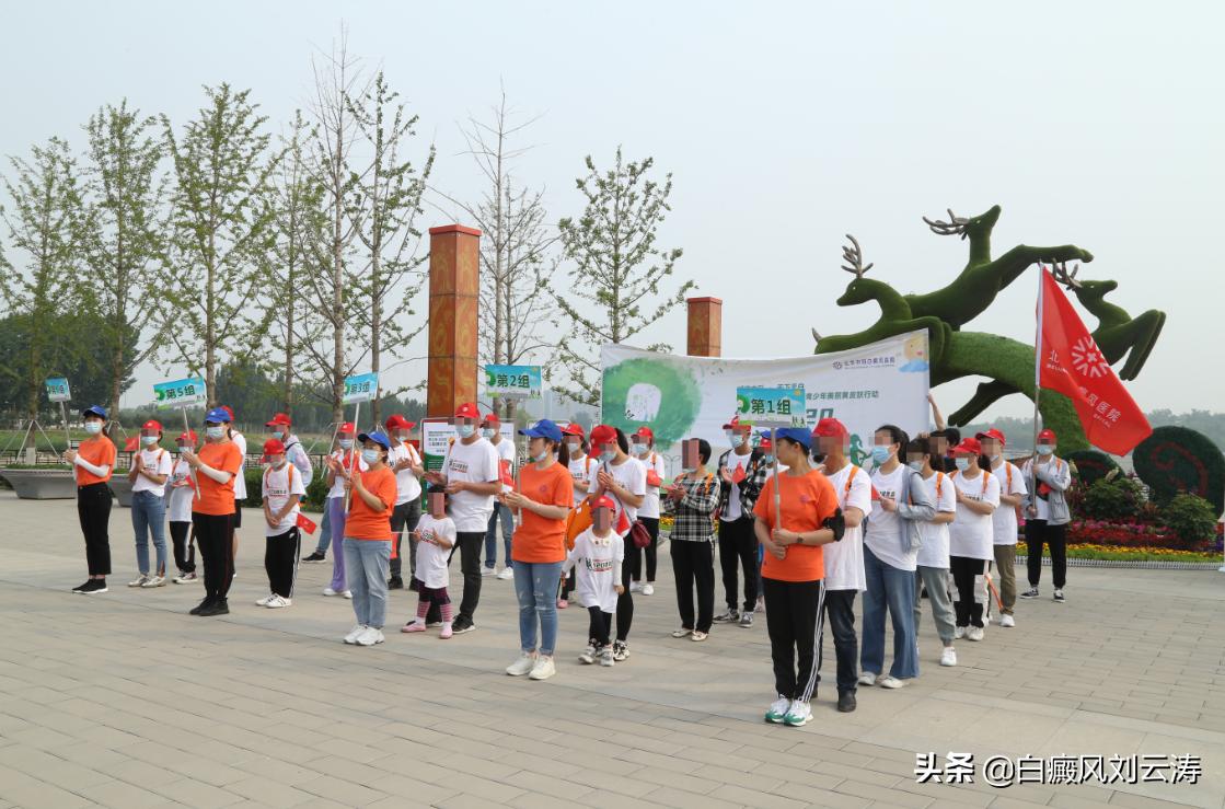 第五届全民健步行公益活动报名,公益健康行活动