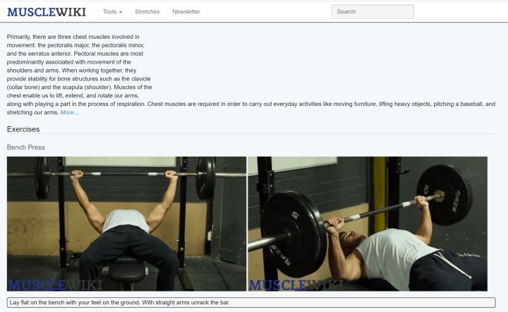 国外哪些网站好玩,国外值得逛的网站