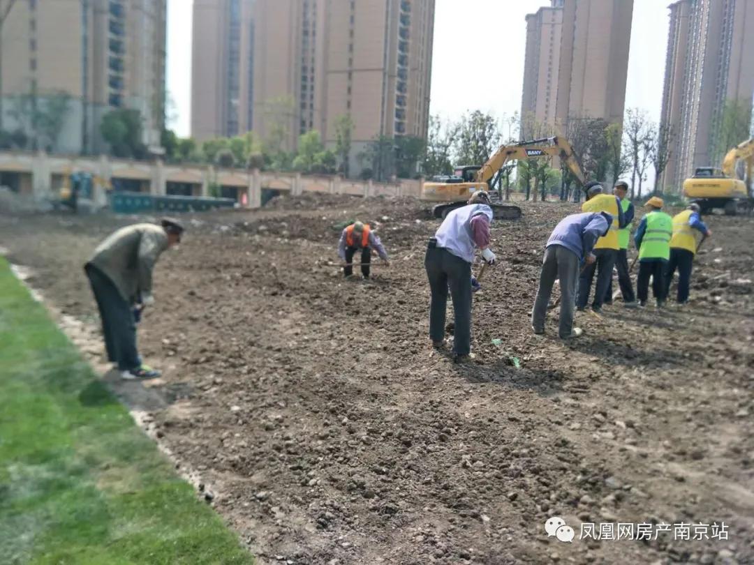 世纪金源新地块,南京世纪金源地块