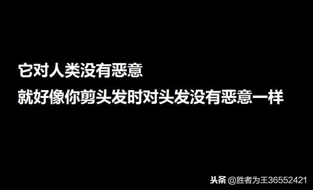 ai和人类未来发展,ai与人类的根本差距