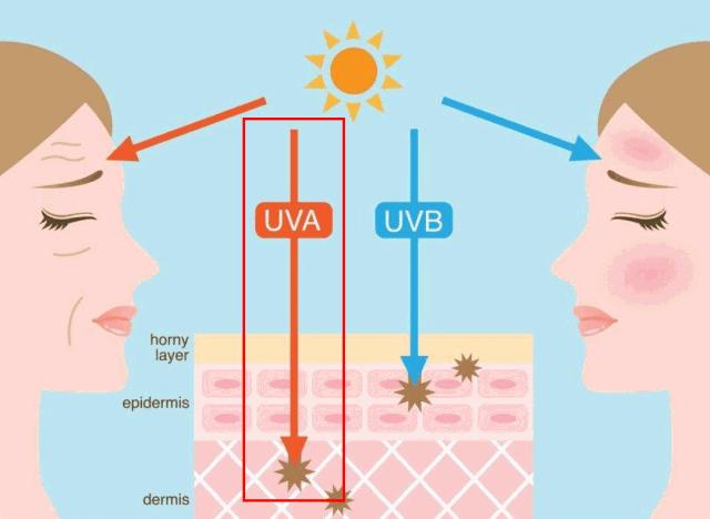 女性35岁以后如何抗皱抗衰老,30岁抗皱抗衰老面霜
