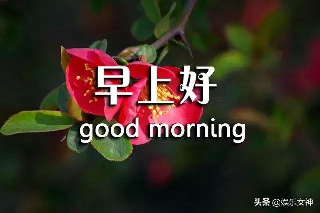 周三问候语简单幽默,早上短信问候语温馨正能量