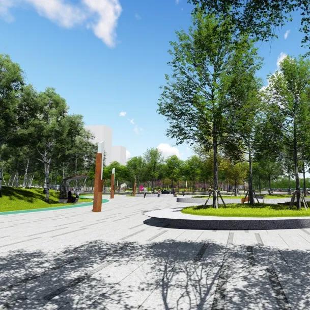 晋江樱花公园,不用去远方也能看到樱花