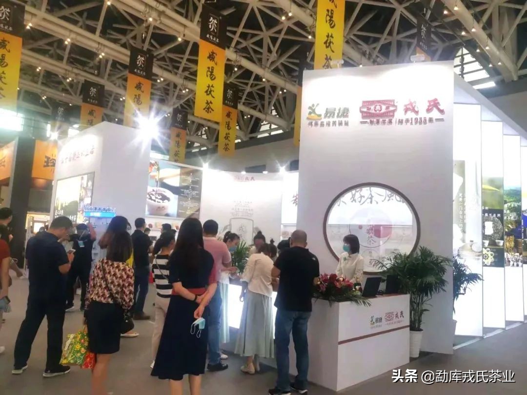 博君熟茶1000克,博君熟茶