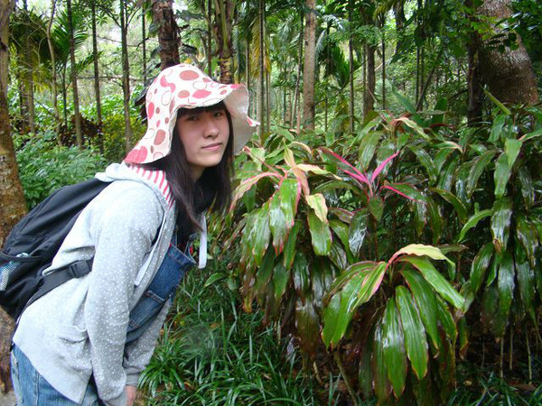 西安到三亚旅游攻略自由行费用,海南旅游攻略自由行三亚最佳路线