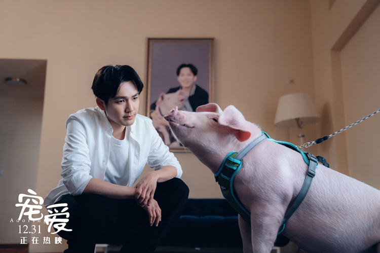 2天冲3亿，《宠爱》深谙「合家欢」电影真谛，仿佛一场春晚小品