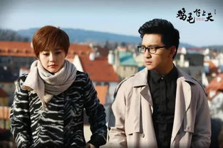 鸡毛飞上天绑架是第几集,鸡毛飞上天绑架是谁策划的