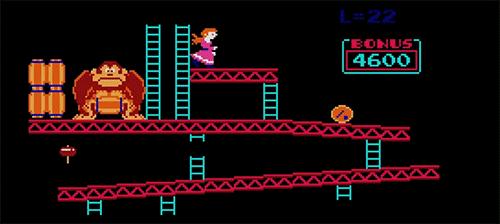 世界上速度最快的刺猬,世界上跑得最快的刺猬第二季