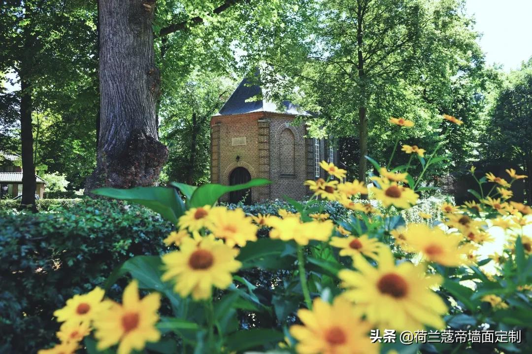 COLDEC·荷兰|荷兰骑行，遇见更好的自己