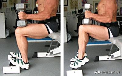 用哑铃做全身力量训练有哪些动作,一副哑铃如何练遍全身肌肉