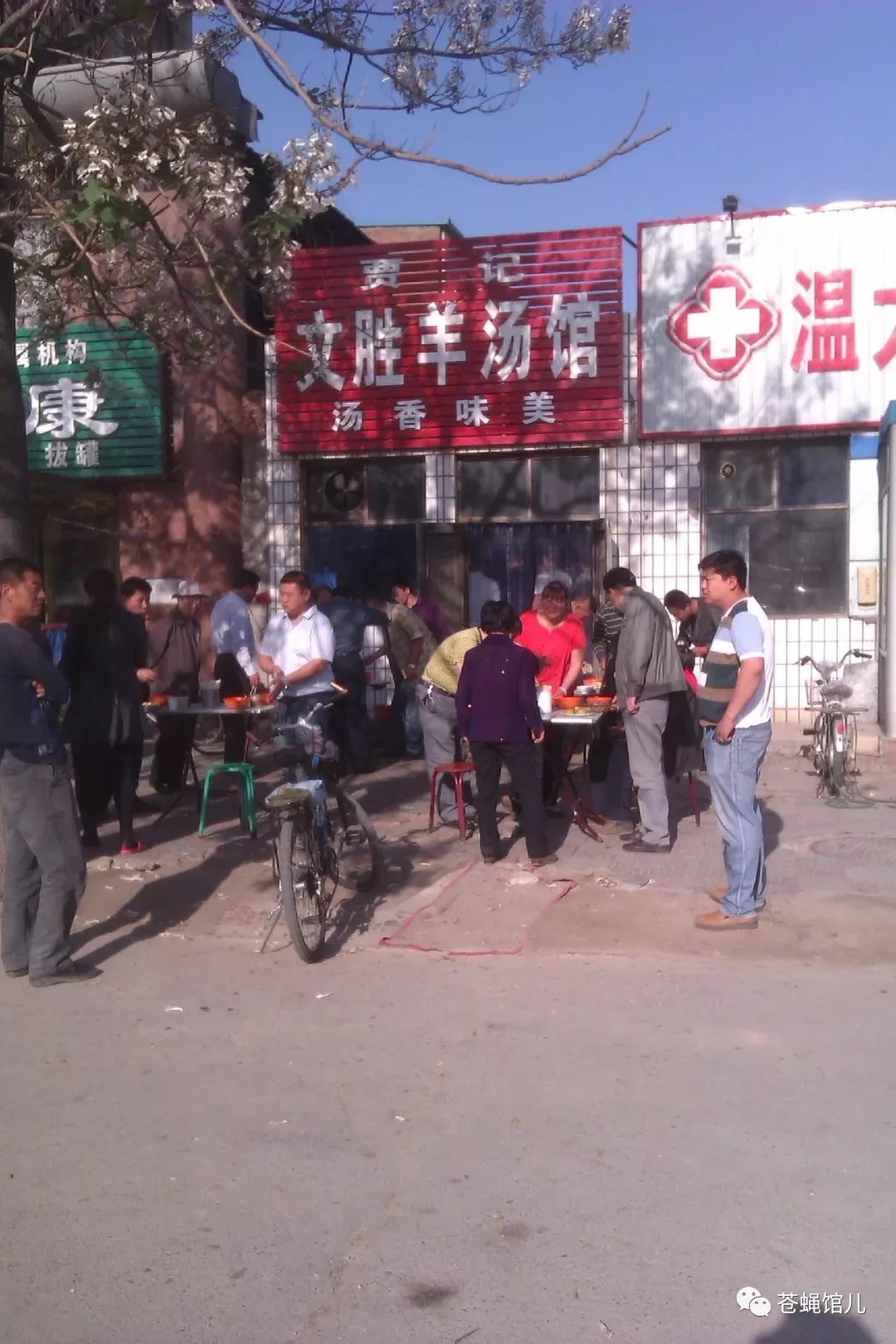 沧州羊肠子,沧州羊肠子视频