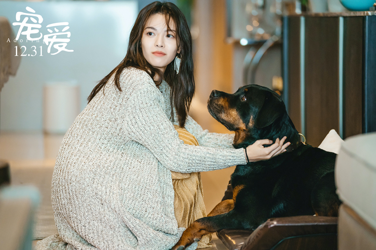 2天冲3亿，《宠爱》深谙「合家欢」电影真谛，仿佛一场春晚小品